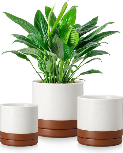 Ceramic plant pots piece - plant, pots,