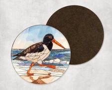 Oystercatcher Bird Beach