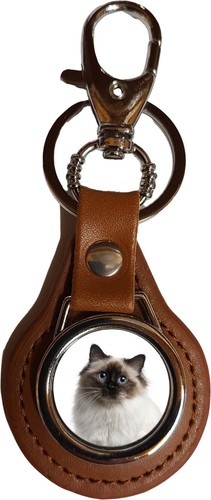 Birman cat pet brown - birman,