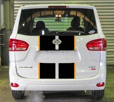 LDV Van Rear Door Stripe