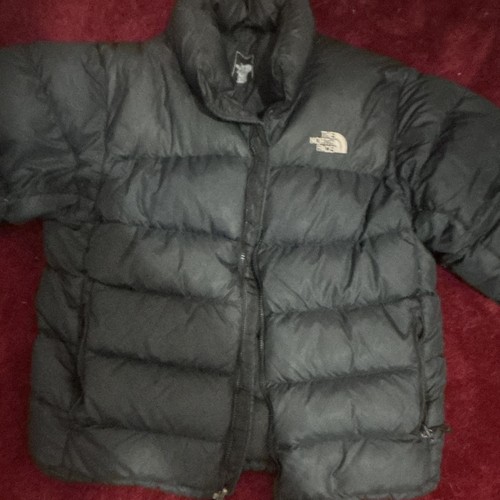 The north face black 700 - 700, down