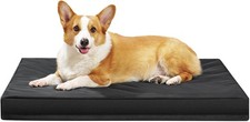 Indestructible Dog Beds for