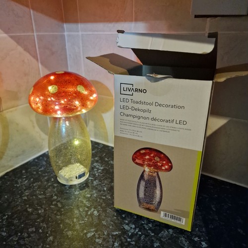 Livarno led toadstool - toadstool, mushroom