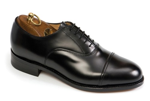 Sanders oxford uniform - oxford,