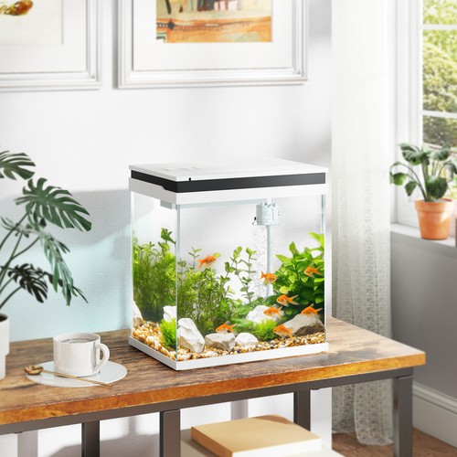 14l fish tank glass - fish, tank,