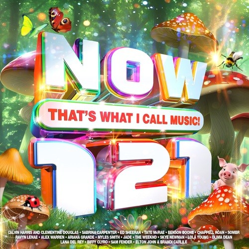 Various artists now that s - artists,