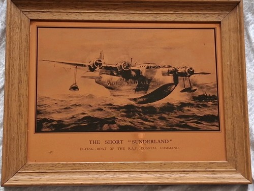 The short sunderland flying - short,