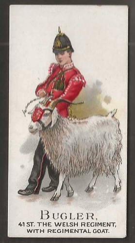 Gallaher types british army - of,