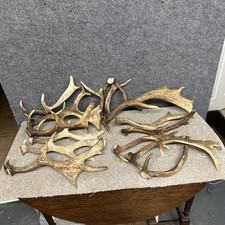 Mixed Fallow Antler Dog Chew