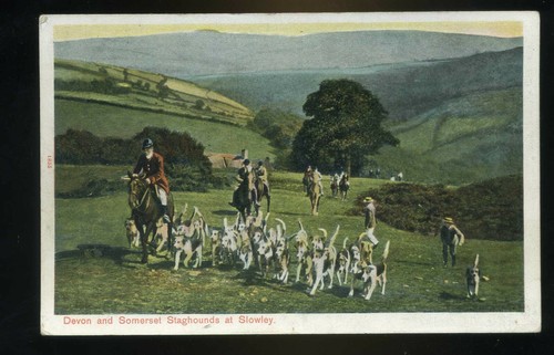 Slowley somerset the devon - ,