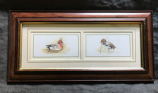 Joel Kirk Framed prints, Ducks waterfowl pairs.