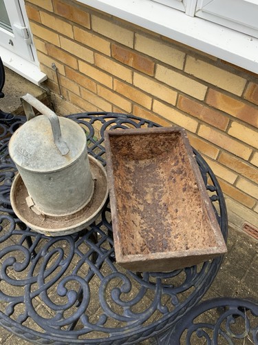 Chicken bird feeder water - bird,