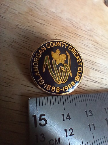 1988 glamorgan county cricket - glamorgan,