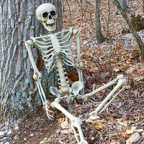 170cm halloween skeleton - 90/170cm,