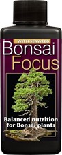 Growth technology bonsai focus - technology,