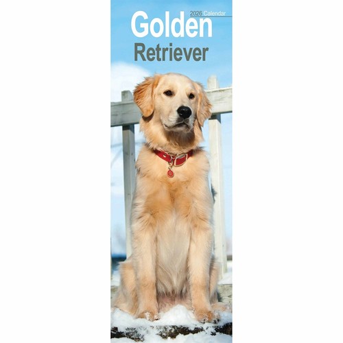 Golden retriever slim calendar - retriever,