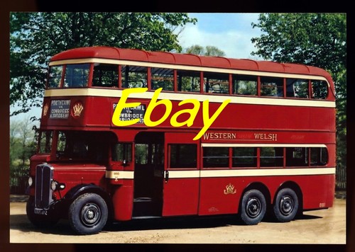 Bus photo aec renown - photo,, renown,