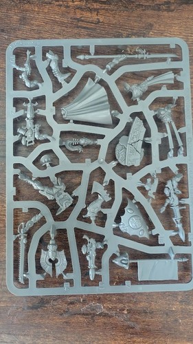 Aeldari autarch brand new on - autarch,