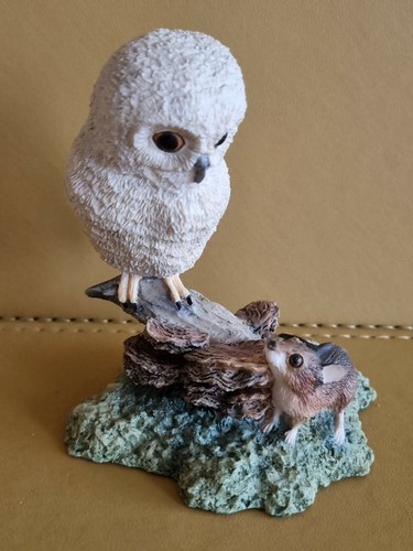 Border fine arts owl and - border,