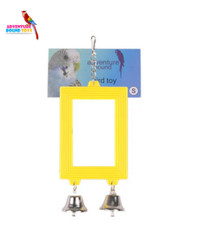 ADVENTURE BOUND SMALL BIRD