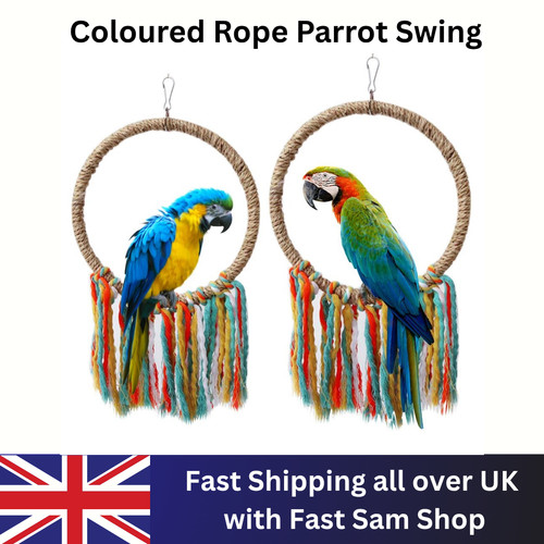Coloured rope ring swing - rope,