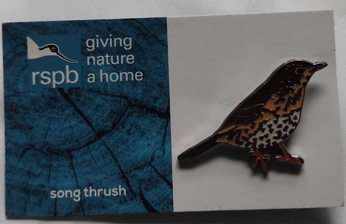 Rspb pin badge - badge, of