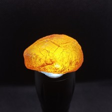 Natural real amber specimen - real,