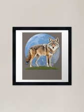 Blue Moon Coyote Framed Art