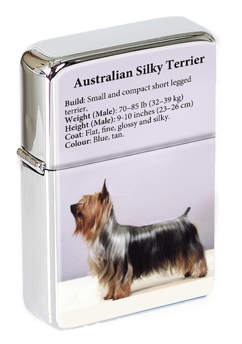 Australian silky terrier flip - silky,