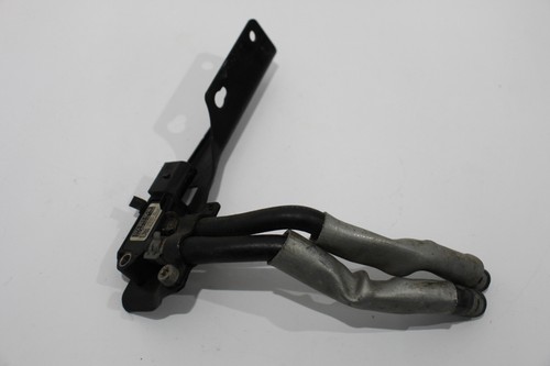Transporter fl dpf - t5,