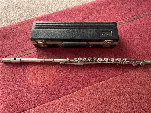 Flute musical instrument - flute,