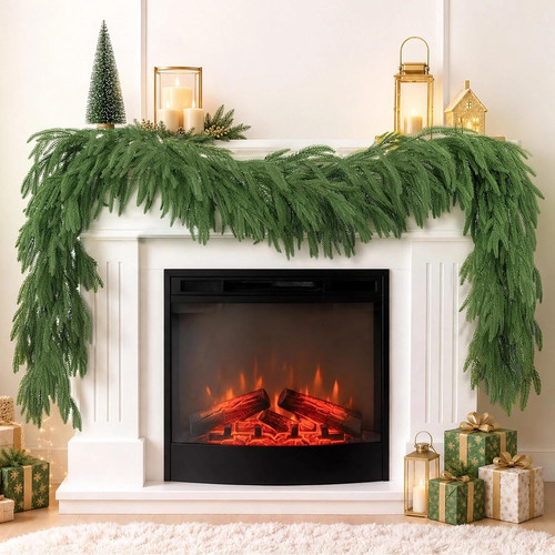 Nieting 9ft norfolk pine - norfolk,
