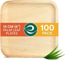 Square Palm Leaf Plates Pack of 100 Compostable 15cm 6" , Premium Quality UK