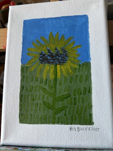Sunflower - , 🌻