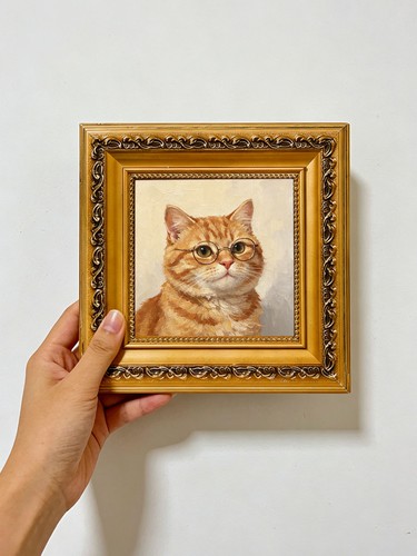 Glasses ginger tabby - glasses, cat