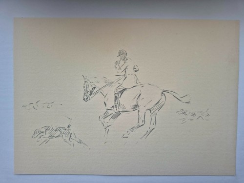 Antique pencil drawing fox - drawing,