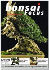 Bonsai focus 126 103 feb - bonsai,