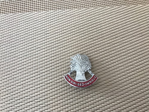 Vintage enamel pin badge - ,
