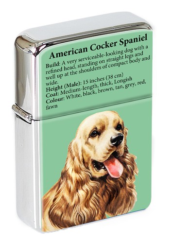American cocker spaniel flip - cocker,
