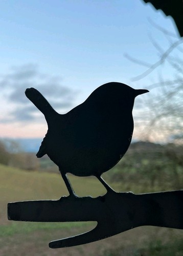Wren silhouette garden - silhouette,