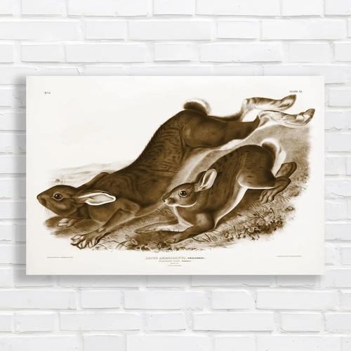 Vintage rabbit woodland - vintage,