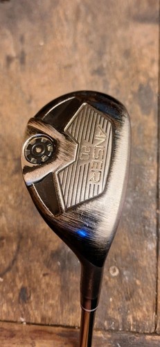 Ping anser hybrid degree - ping,
