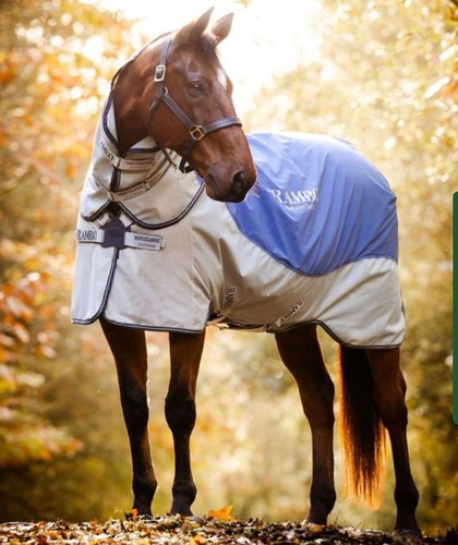 Horseware ireland rambo - horseware, autumn