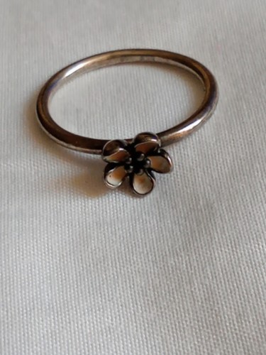 Pandora silver magnolia - pandora,