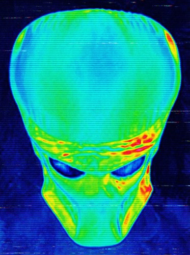 Full size predator wearable - full-size,
