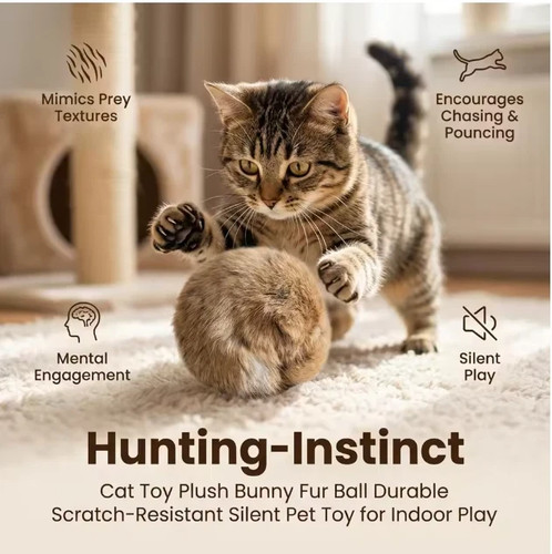 Dog training rabbit ball - rabbit,