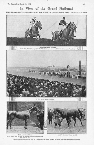 Horse racing preview - horse,
