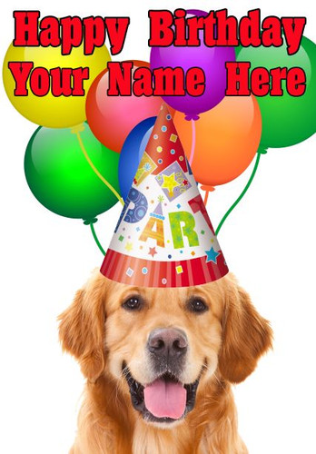 Golden retriever dog happy - dog,