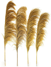 Golden Pampas Grass Decor