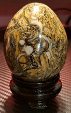 Seashell Fossil Egg  &